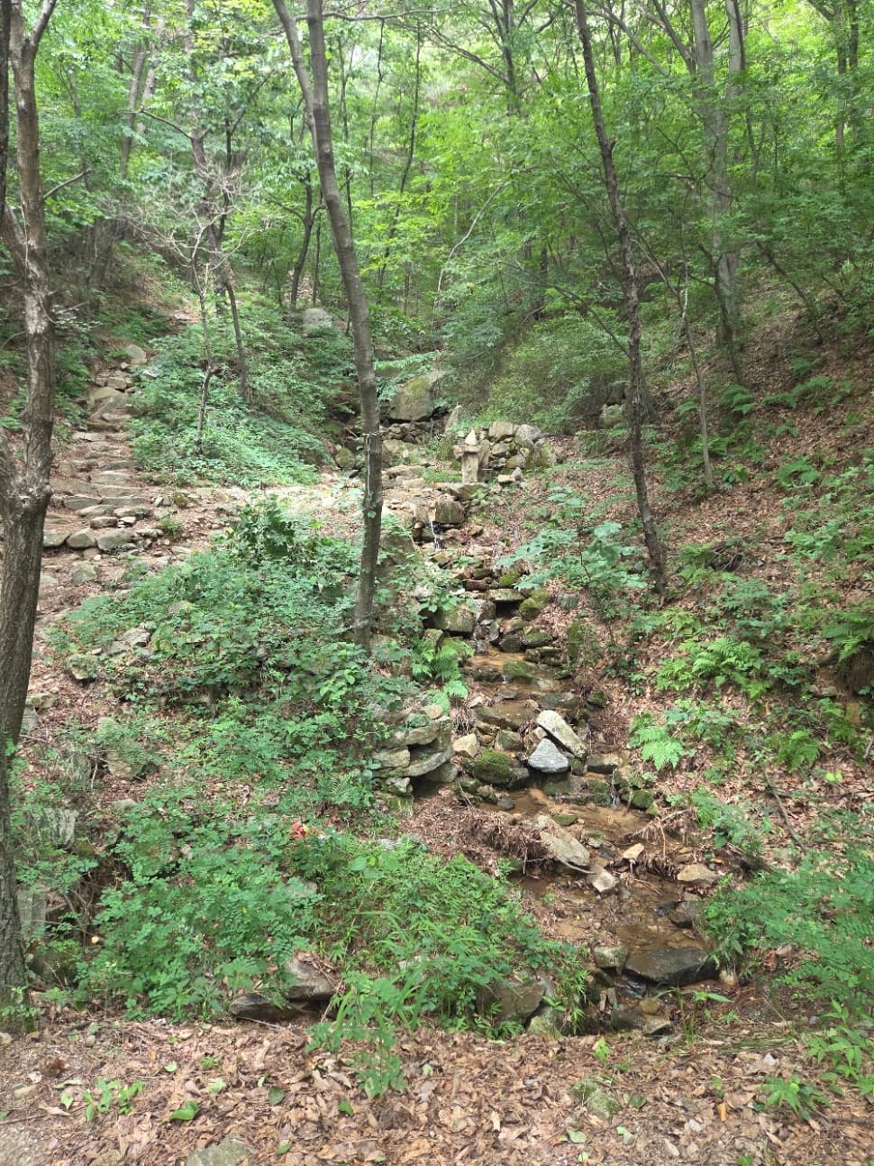 계족산 황톳길 이미지 5