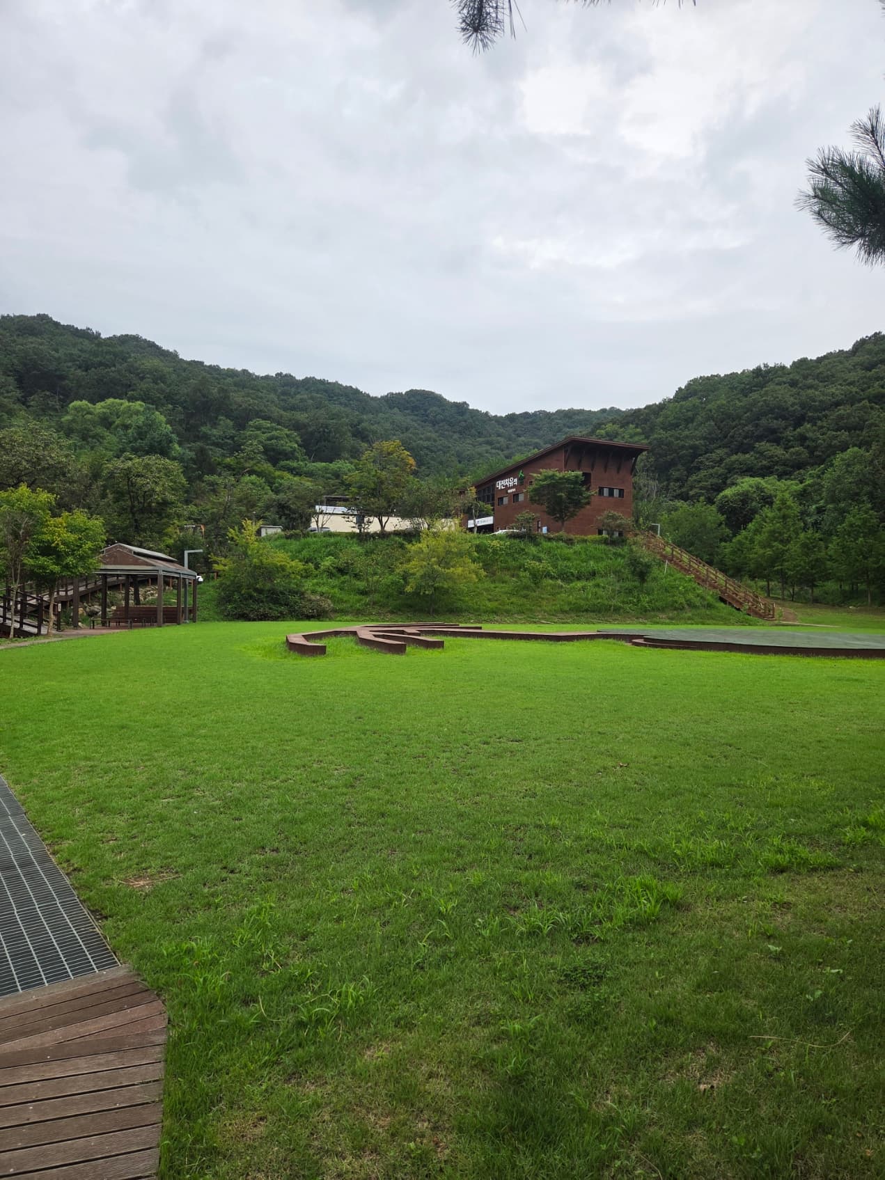 대전 치유의숲 이미지 4