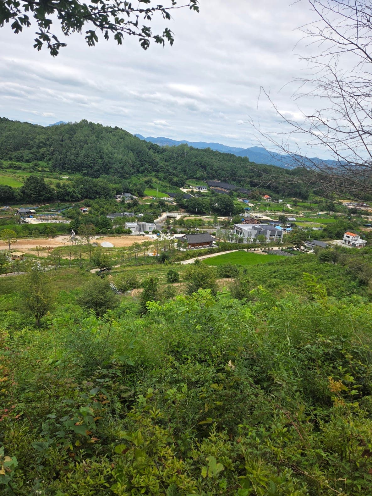 진악산 이미지 4