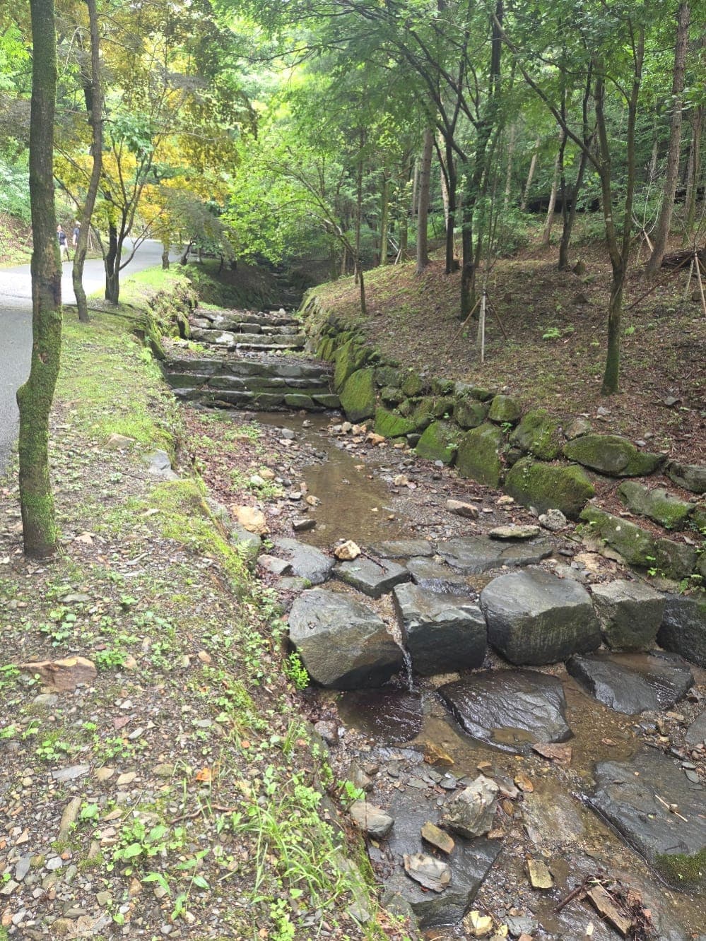만인산 자연휴양림 이미지 3