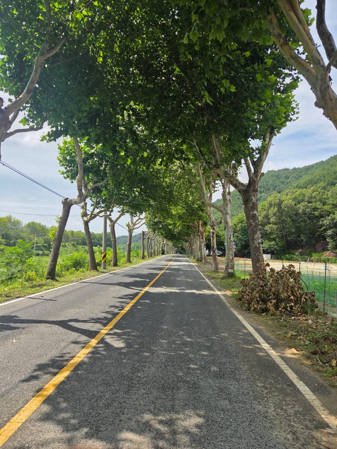 만인산 자연휴양림 이미지 5