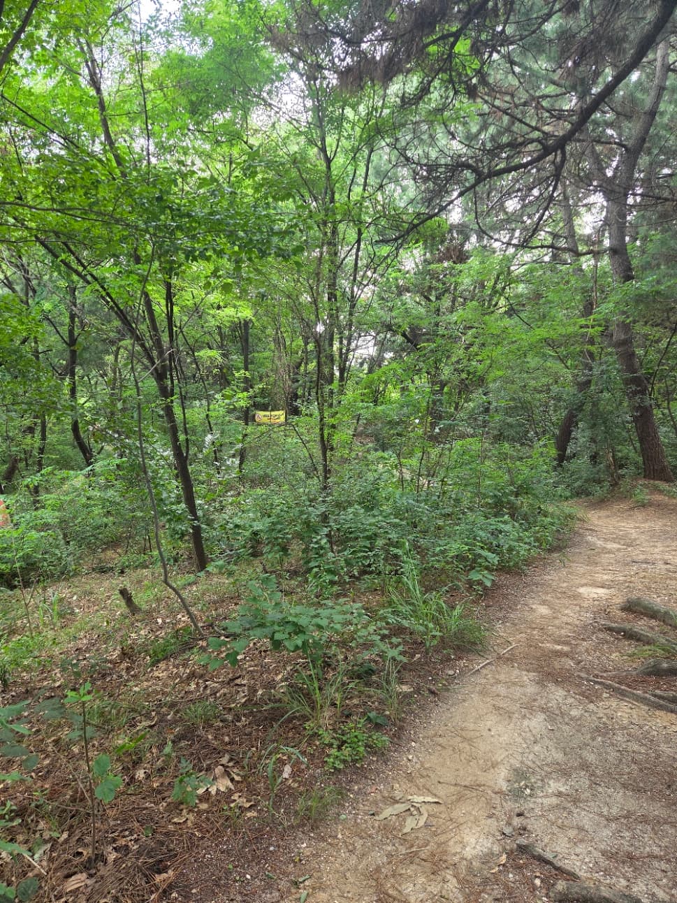 오정대화근린공원 이미지 4