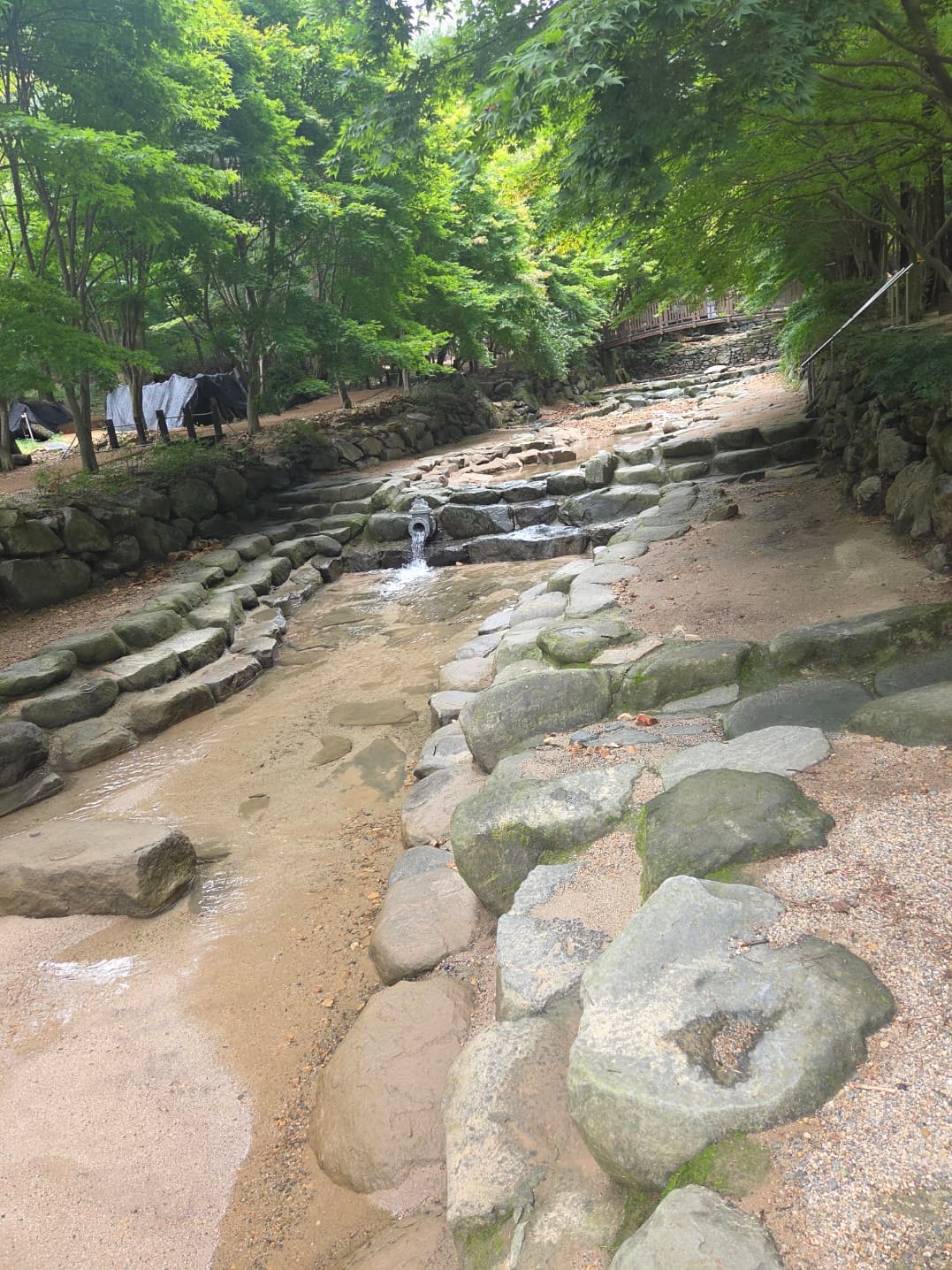 상소동 산림욕장 이미지 2