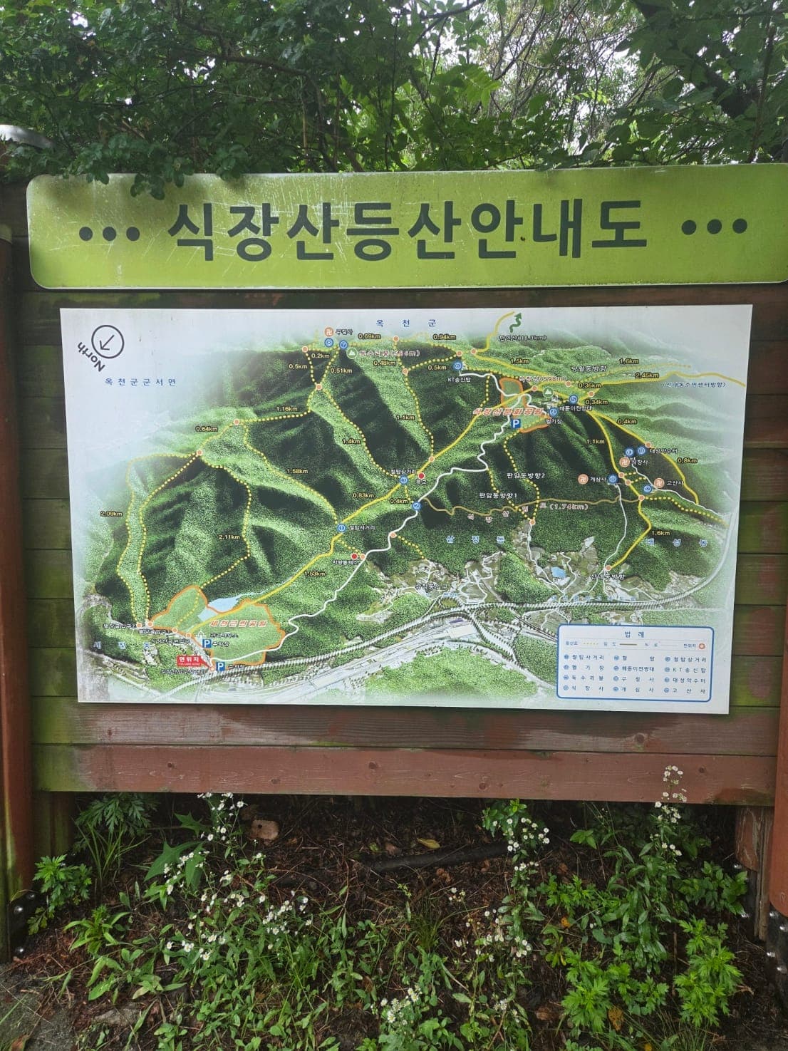 식장산 대표 이미지