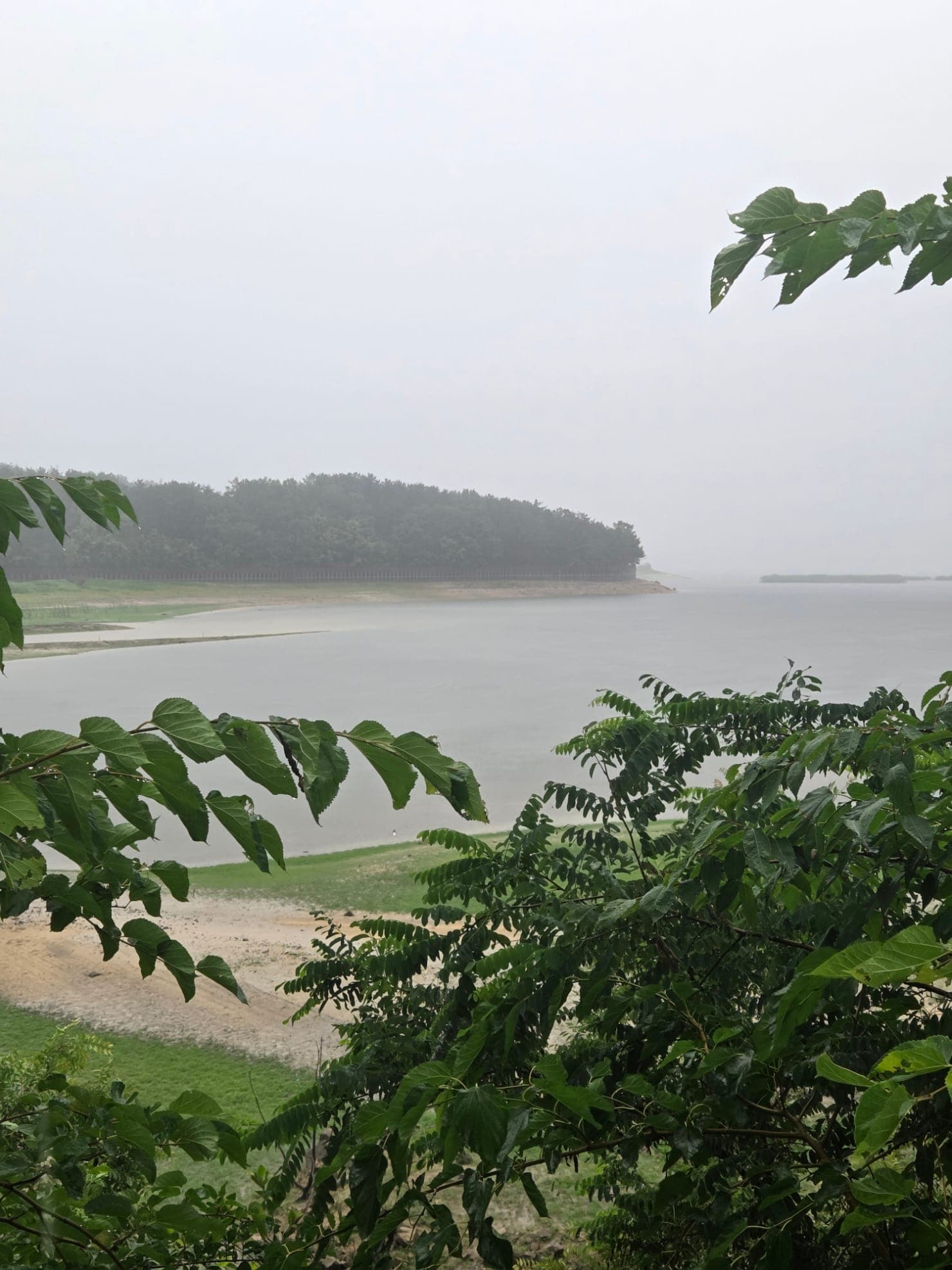 식장산 이미지 3