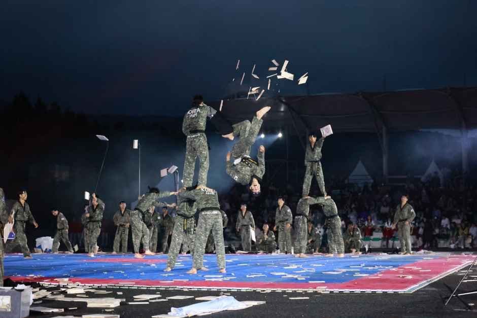 지상군페스티벌 이미지 5