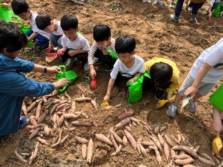 청원생명축제 이미지 3