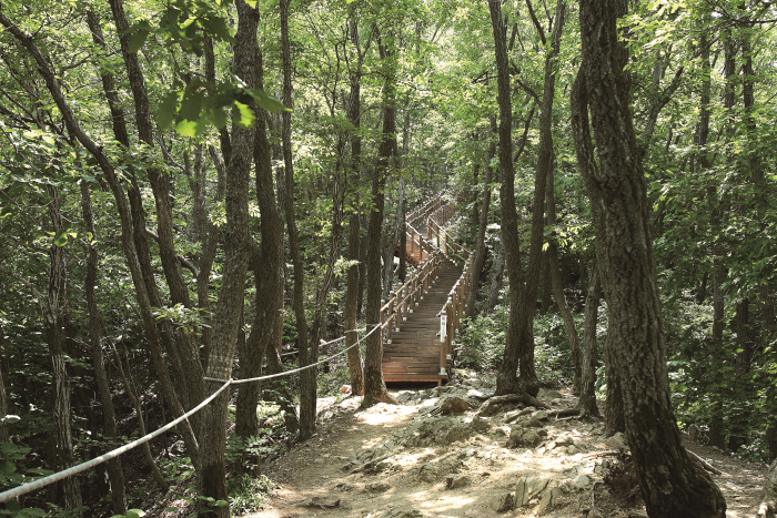 칠갑산 도립공원 이미지 4