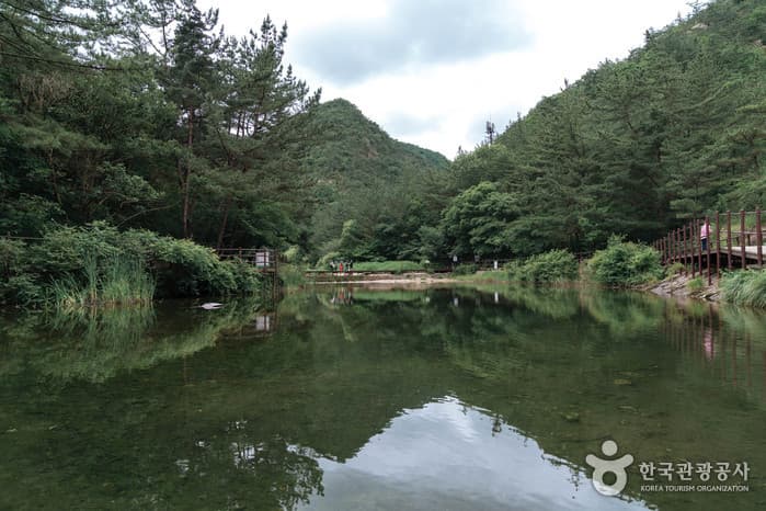 수통골 계곡 이미지 4