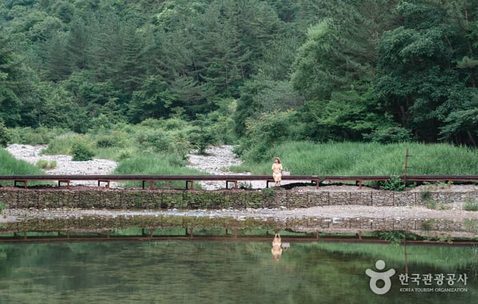 수통골 계곡 이미지 5