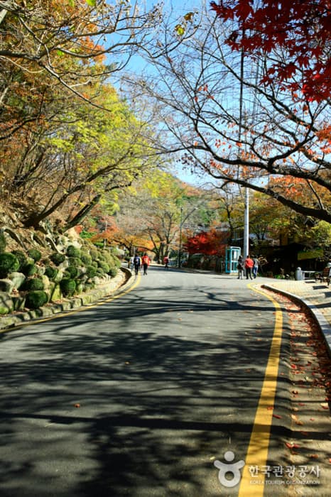 팔공산 국립공원 이미지 2