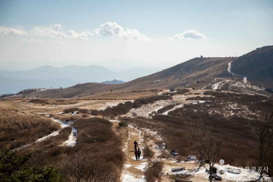 황매산 이미지 3