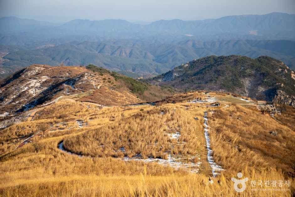 황매산
