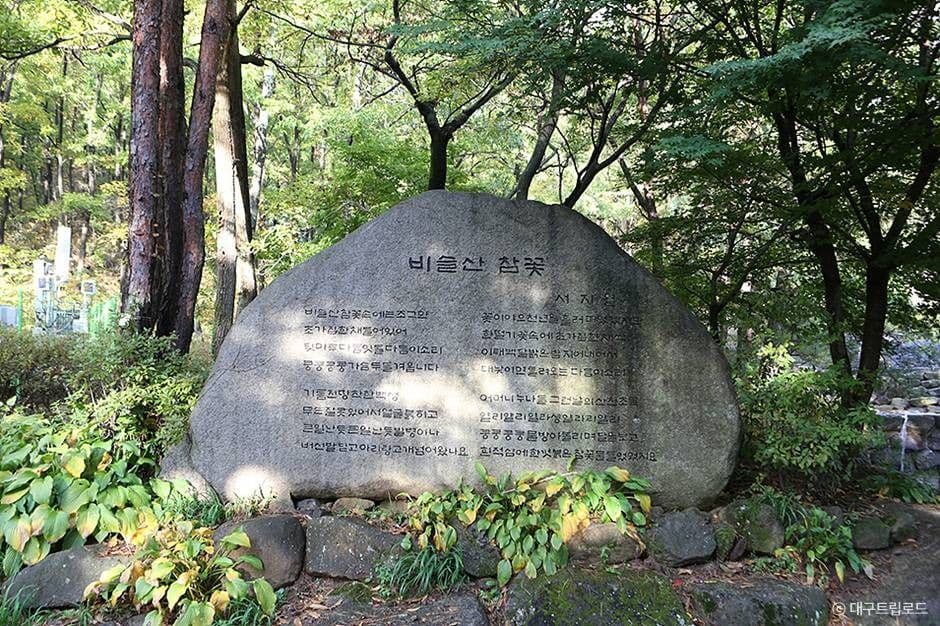 비슬산 이미지 4