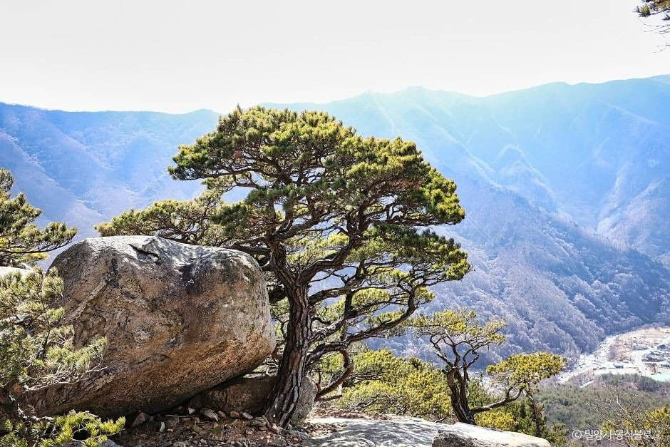 가지산