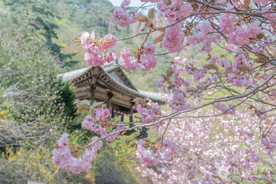 설악산 국립공원 이미지 2