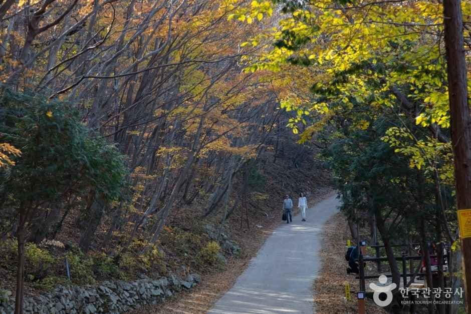 남해 금산 이미지 5