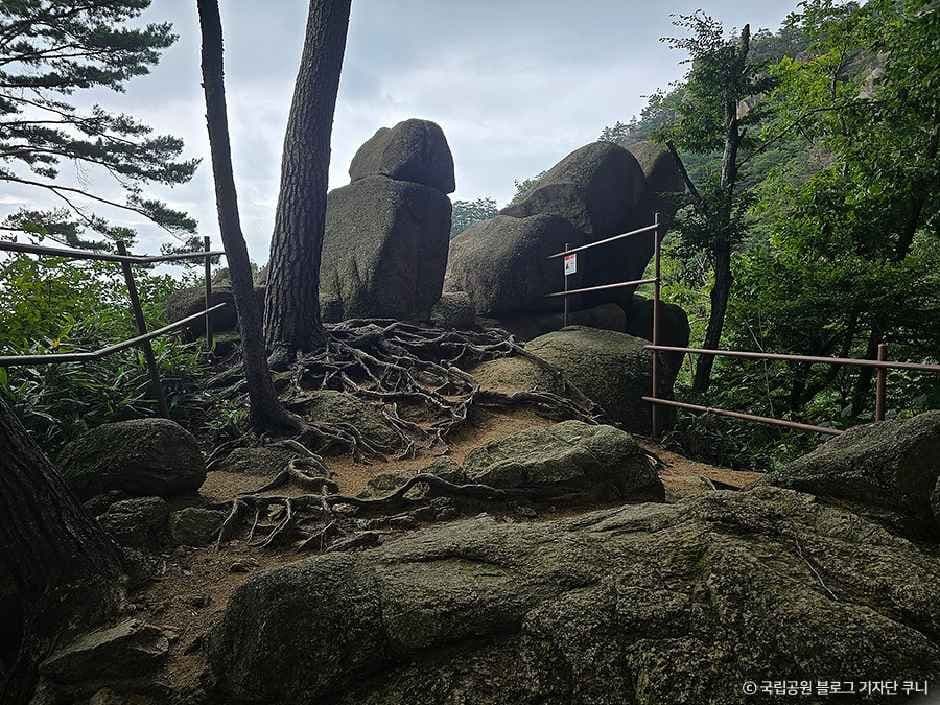 속리산 국립공원 이미지 5
