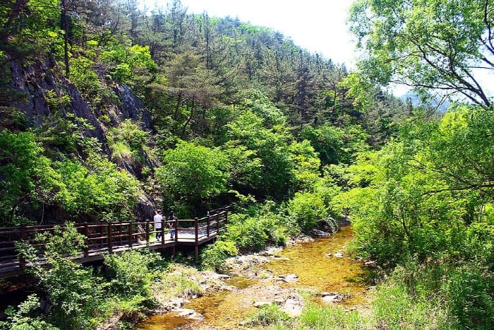 수통골 계곡 이미지 2