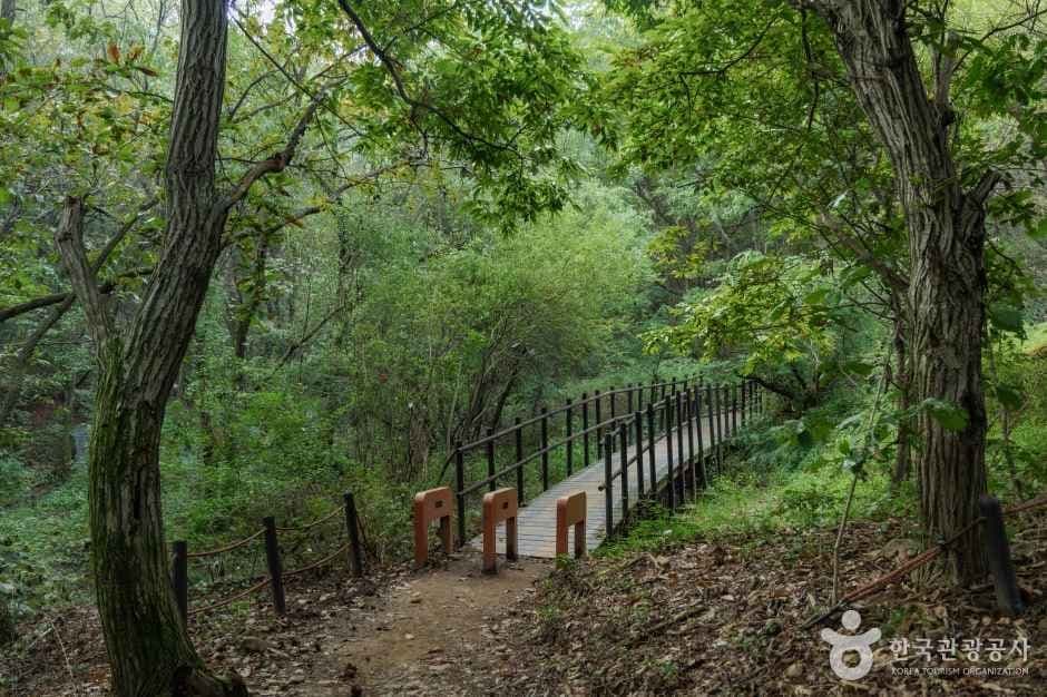 북한산 국립공원 이미지 5