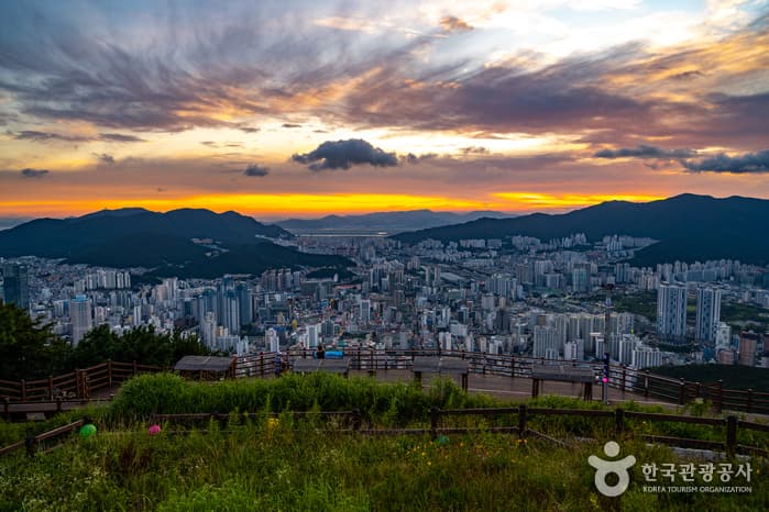 황령산 이미지 4