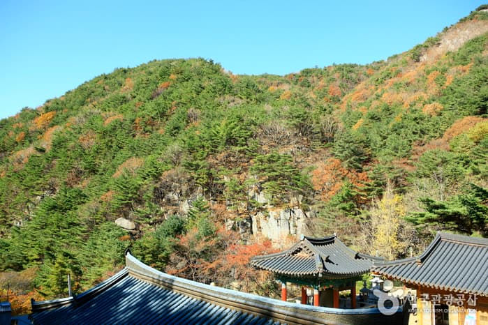 팔공산 국립공원 이미지 5