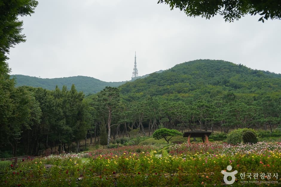 계양산 이미지 4