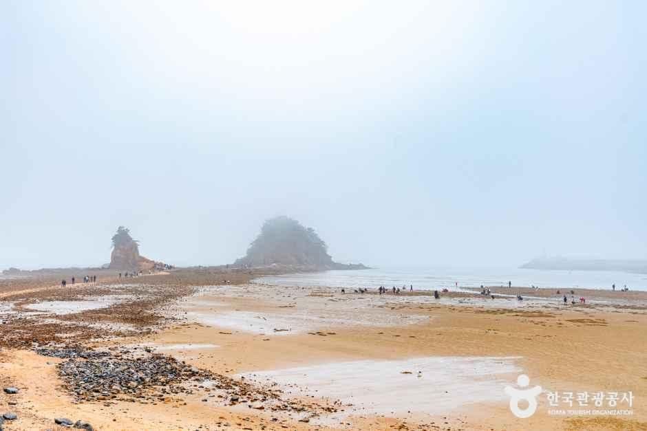 꽃지 해수욕장 대표 이미지