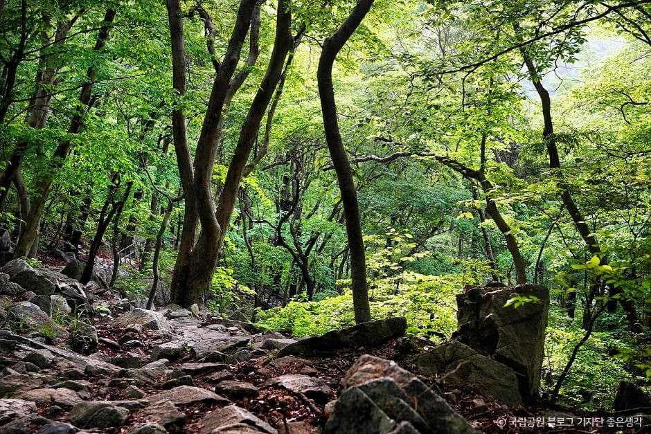 계룡산 국립공원 이미지 5
