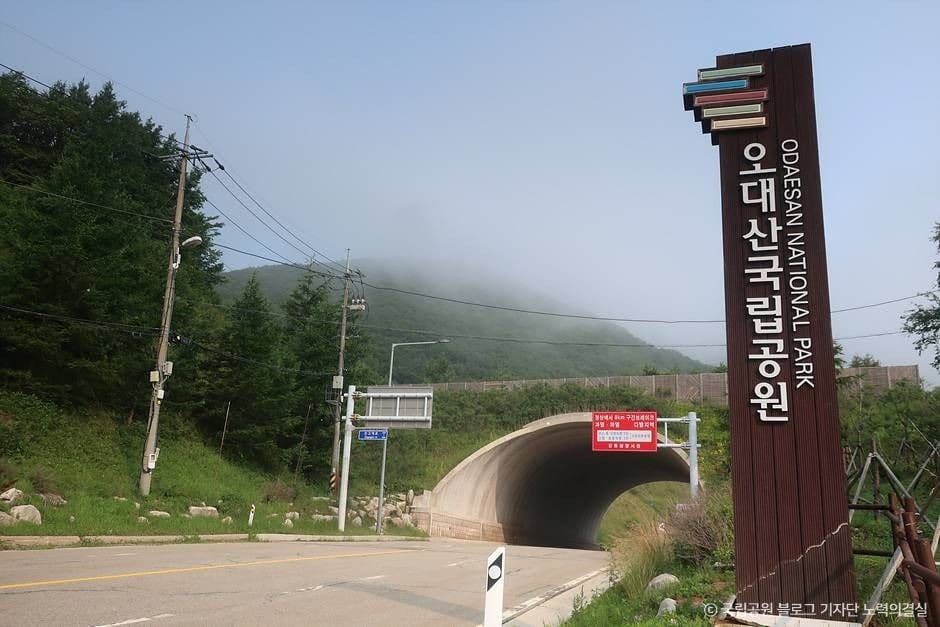 오대산 국립공원