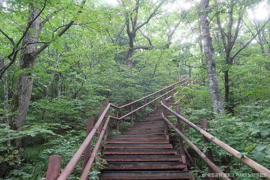오대산 국립공원 이미지 3