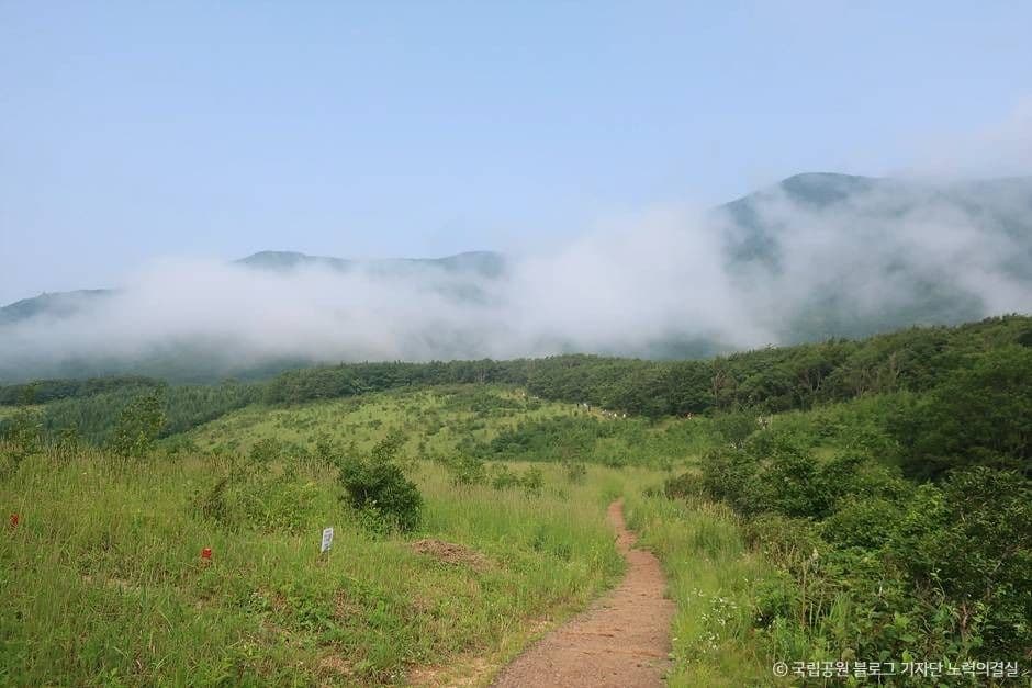 오대산 국립공원 이미지 5