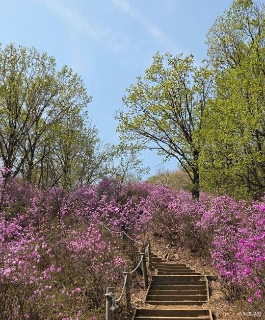 청계산 이미지 4