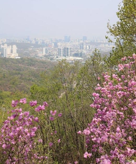청계산 이미지 5